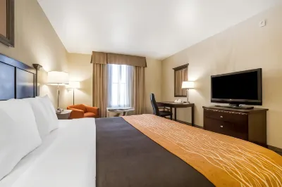 Comfort Inn & Suites Henderson - Las Vegas Hotels near Henderson