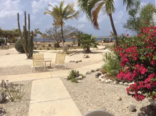 Well-maintained Sand Dollar Oceanfront Condo F-9 with new kitchen - โฮมสเตย์