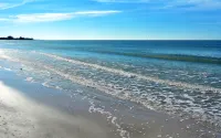 Siesta Key For Me @ The Palm Bay Club - Beach