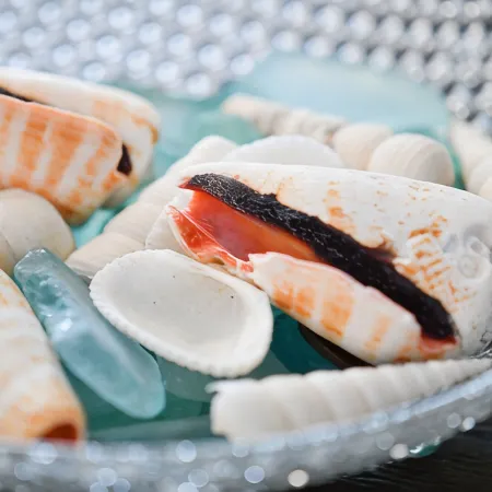 Beachy Getaway–Cozy, Clean & Equipped w/ All Essentials! Relax, Enjoy & Refresh!