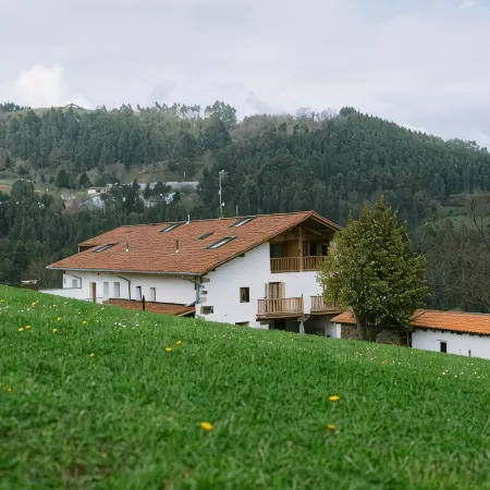 Hotel Nafarrola - Gastronomy & Wine