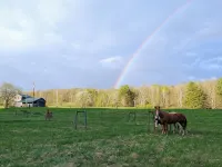 Mountain Rose Horse Farm - Guest Cottage