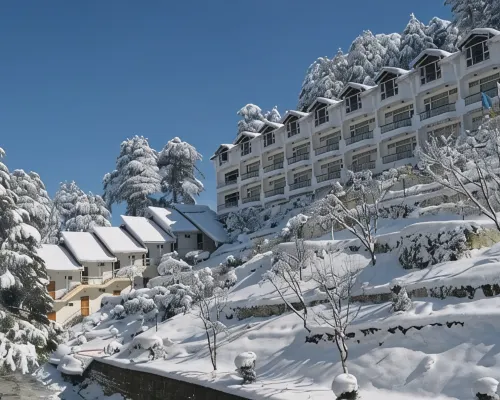Hotel Green Top Hotels in Patnitop