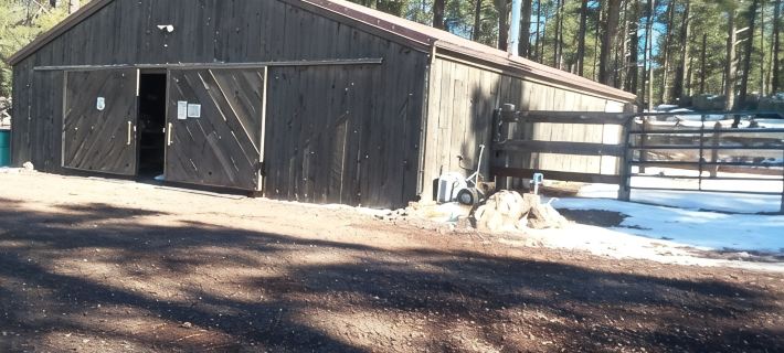 Secluded, Historic Wrigley Ranch Cabin- Pine Forest- 25 Acres Near Grand Canyon Hotels in Coconino County
