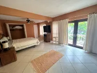 加勒比地區海景度假屋 - 泳池