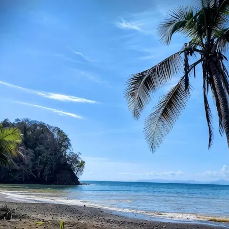 Paradise Found! Character filled close to beach, forest and amenities