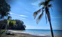 Paradise Found! Character filled close to beach, forest and amenities