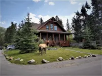The Cedar - Downtown, walking distance to all the shops and restaurants!