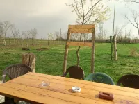 Belegania Villa - Homestays