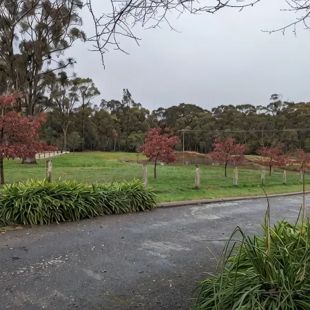 Studio at Beechworth next to the forest. Pet friendly but please let us know. .
