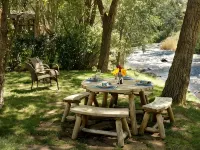 Luxurious Riverfront Cabin on the Frying Pan River - 1 block to Basalt Hotels in Basalt
