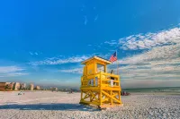 Siesta Key Beachside Condo-direct beach access - Bãi biển