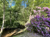 Riverside Retreat located on the Nottely River in the North Georgia Mountains. - Chalets