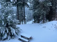 Mountain hideaway, minutes from Mission Ridge Ski and Board Resort - 레지던스
