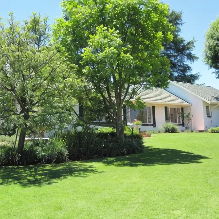 The Pecan Tree Guesthouse