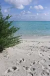 Isla Retreat - オーシャンビュー
