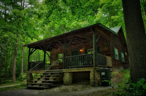 Cozy Cabin Among the Trees - Rustic Charm, Modern Comforts,  26 Secluded Acres - Hytter