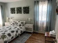 Family home in the Elmwood Village - 발코니