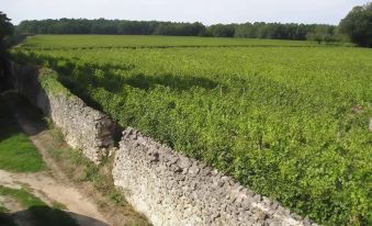 Château de Pintray