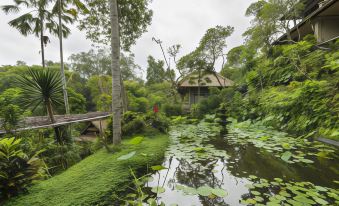 Hotel Tjampuhan Spa