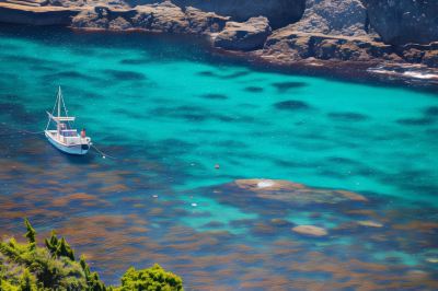 ホテル周辺 星野リゾート 界 アンジンの写真