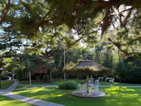 Natur Hotel - 700m da Rua Coberta