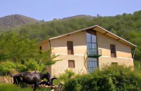 Albergue Aurora Boreal Hotels near Merendero La Puria