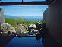 Hotel Alpen Blick Hotels in Myoko