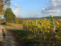 Weinstube Schwalbennest Hotels in Karlstadt