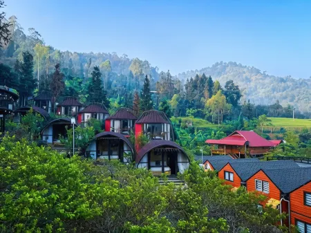 Plum Homestay Отели в г. Dong Van