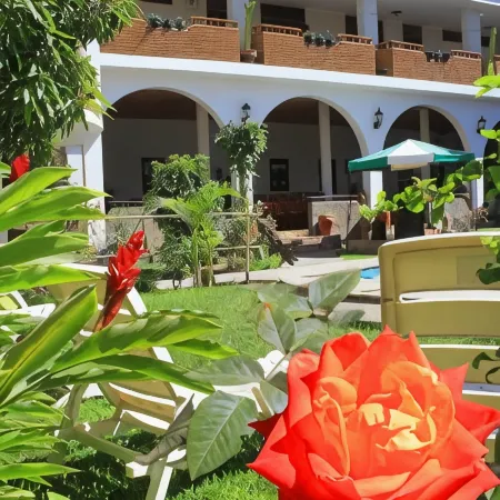 Hotel Alegria Nasca Отели в г. Наска