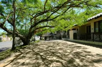 St Lucia Palms Hotels in 