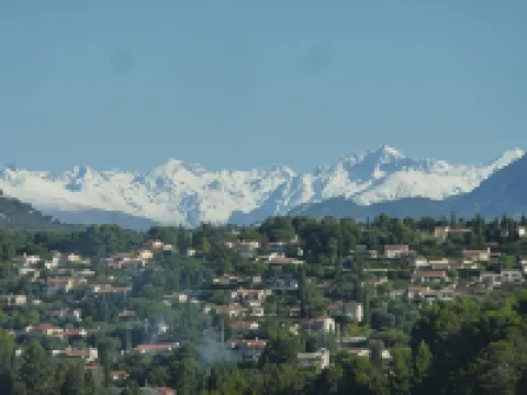 La Maison Aux Bonsais