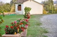 Morami Wine Agriturismo - Farmhouses