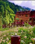 Ayder Paradise Otel Hotels in Yukarışimşirli Köyü