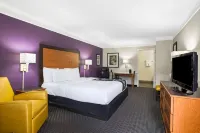 La Quinta Inn by Wyndham San Marcos Hotels in Martindale
