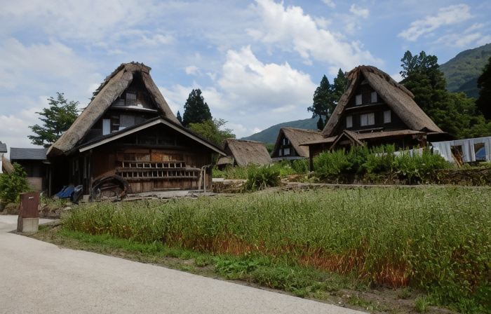 Minshuku Goyomon