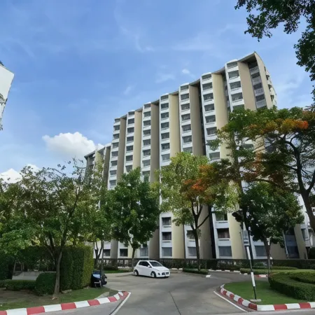 Dluxx Thammasat