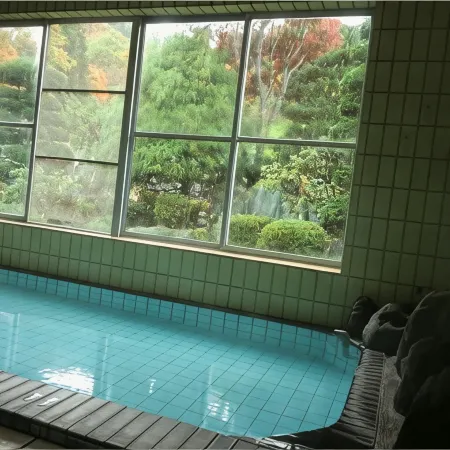 Onsen Minshuku Sakaeya