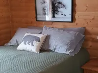 Buffalo Lake Cabin I Private Beach l Detroit Lakes l Pet Friendly Hotels in Becker County