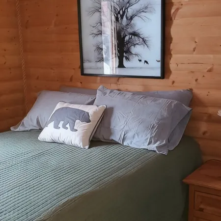 Buffalo Lake Cabin I Private Beach l Detroit Lakes l Pet Friendly