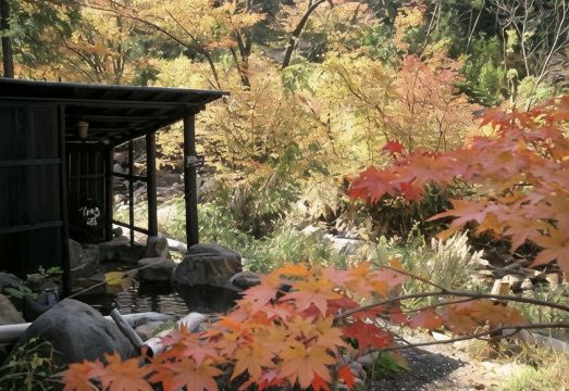 호텔 다이코겐 식사 및 내부