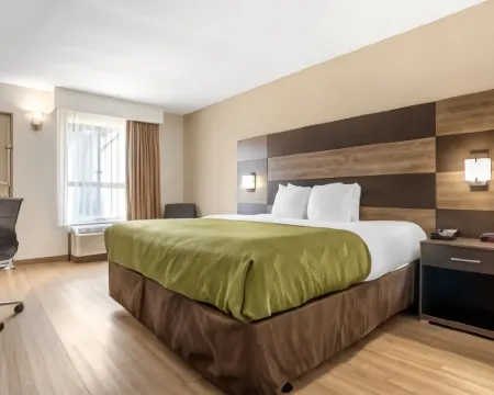 Quality Inn & Conference Center Panama City Hotels in Bay County