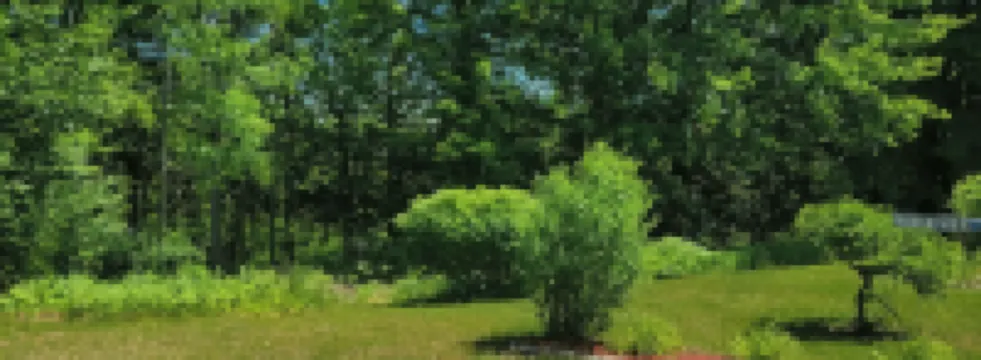 Cheerful three bedroom on beautiful Platte River