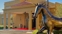 El Olivar Palace Marrakech All Inclusive, Aquapark & SPA - parkir