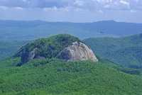 Cozy Mountain Top Cabin 13 Acres Near Dupont State Forest-Pet Friendly-Wifi- EV - Chalets