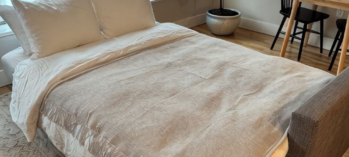 Modern One Bedroom Apartment in the Heart of Downtown Ann Arbor Ξενοδοχεία στην πόλη Ann Arbor