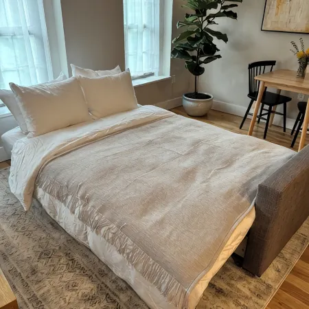 Modern One Bedroom Apartment in the Heart of Downtown Ann Arbor