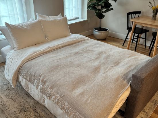 Modern One Bedroom Apartment in the Heart of Downtown Ann Arbor