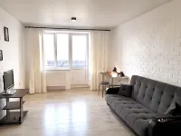 Vgosti33  Feigina 22 (17 et) Apartments فنادق في فلاديمير